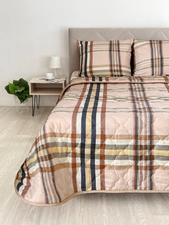 95d22b11-be78-49d1-a135-6a363cedd6d2